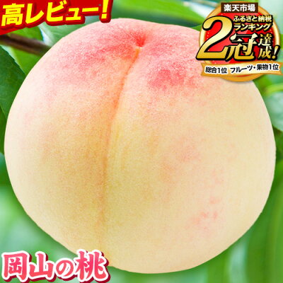 岡山の桃 約1.3kg（5～7玉前後）家庭用