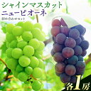 【ふるさと納税】岡山県産 ニューピオーネ シャインマスカット ぶどう詰め合わせ 詰め合わせ 約1.2kg 2房 葡萄 果物 訳あり 優品 厳選出荷 スイーツ フ...