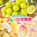 【ふるさと納税】 【先行予約】 岡山県産 旬の フルーツ定期便 全3回 桃 約1.3kg(4~8玉前後) シャインマスカット 約1.3kg (2房) 旬の梨 約...