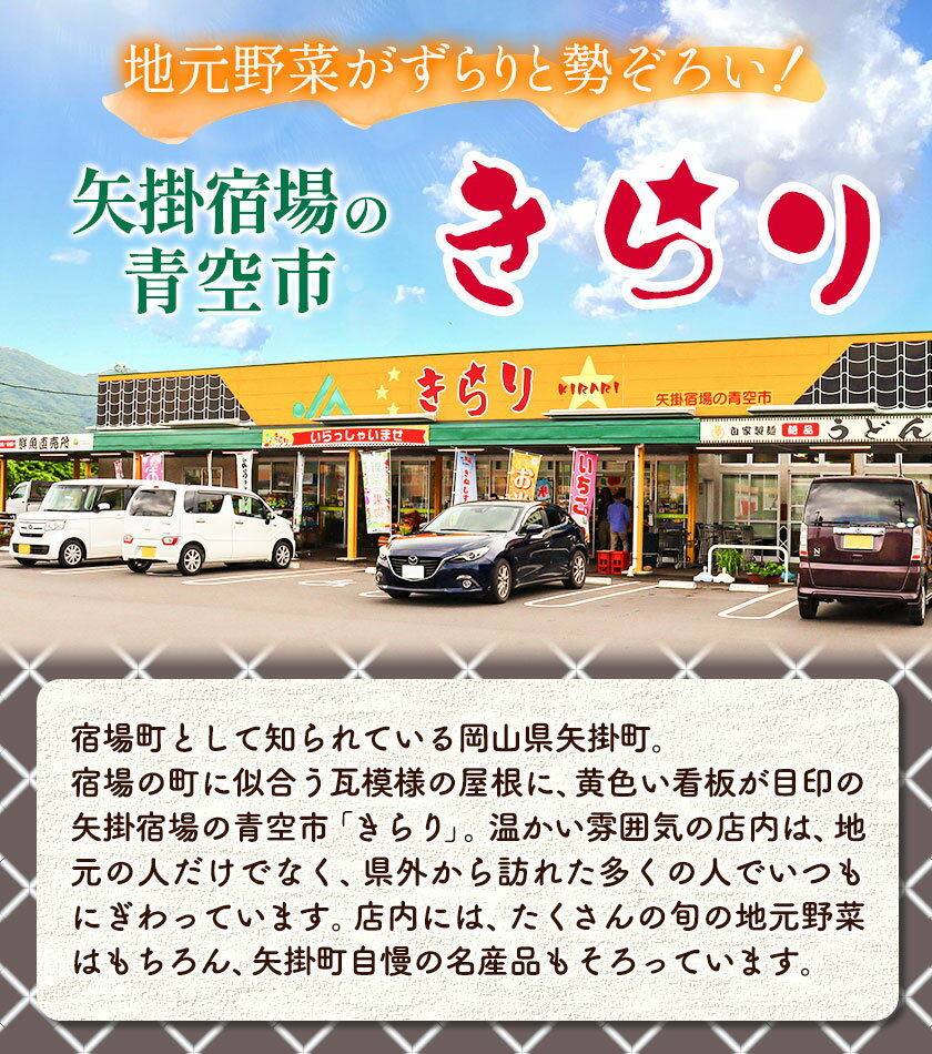 【ふるさと納税】シャイン マスカット 岡山 約2kg 3~4房 青空市きらり《9月上旬から11月上旬頃に出荷予定》岡山県 矢掛町 シャインマスカット お中元 ぶどう 葡萄 送料無料