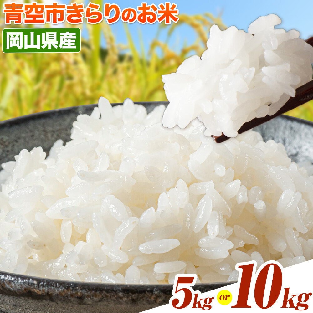 令和7年産 青空市きらりの 選べる内容量 5kg 10kg 岡山県産 (品種はお選びいただけません) 青空市きらり[30日以内に発送予定(土日祝除く)]岡山県 矢掛町 白米 精米 米 コメ