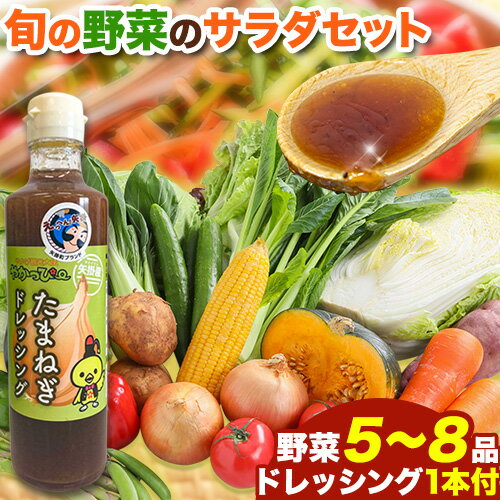 2位! 口コミ数「0件」評価「0」 【先行予約】 矢掛町 サラダ セット 野菜 5～8品目入 青空市きらり《4月上旬から10月上旬頃に出荷予定》岡山県 矢掛町 野菜 野菜詰め･･･ 