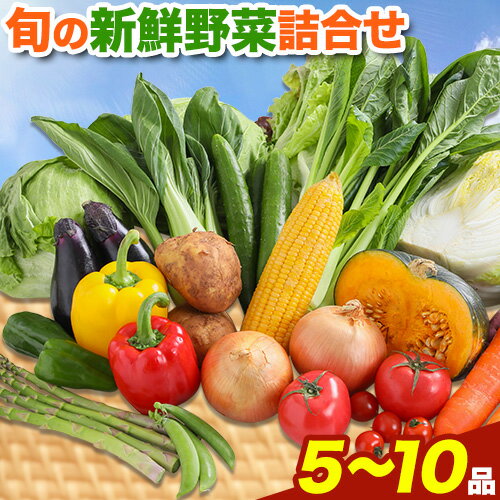 【ふるさと納税】旬の新鮮野菜詰め合わせセット 野菜5～10品