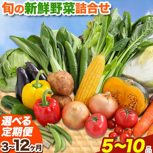 14位! 口コミ数「0件」評価「0」【選べる定期便】旬の新鮮野菜詰め合わせセット 野菜5～10品目入 3ヶ月 or 6ヶ月 or 12ヶ月 定期便 青空市きらり《お申込み月の翌･･･ 