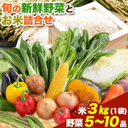 旬の新鮮野菜とお米詰め合わせセット 野菜5〜10品目入 青空市きらり[30日以内に出荷予定]岡山県 矢掛町 野菜 野菜詰め合わせ 米 米3kg トマト きゅうり アスパラガス 玉ねぎ リーキ 送料無料