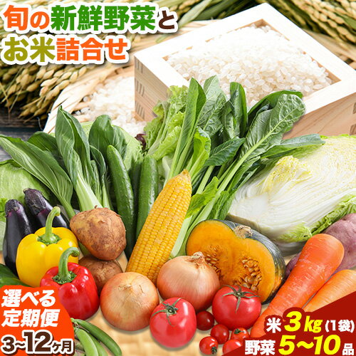 【ふるさと納税】【選べる定期便】旬の新鮮野菜とお米詰め合わせセット 野菜5～10品目入 3ヶ月 or 6ヶ...