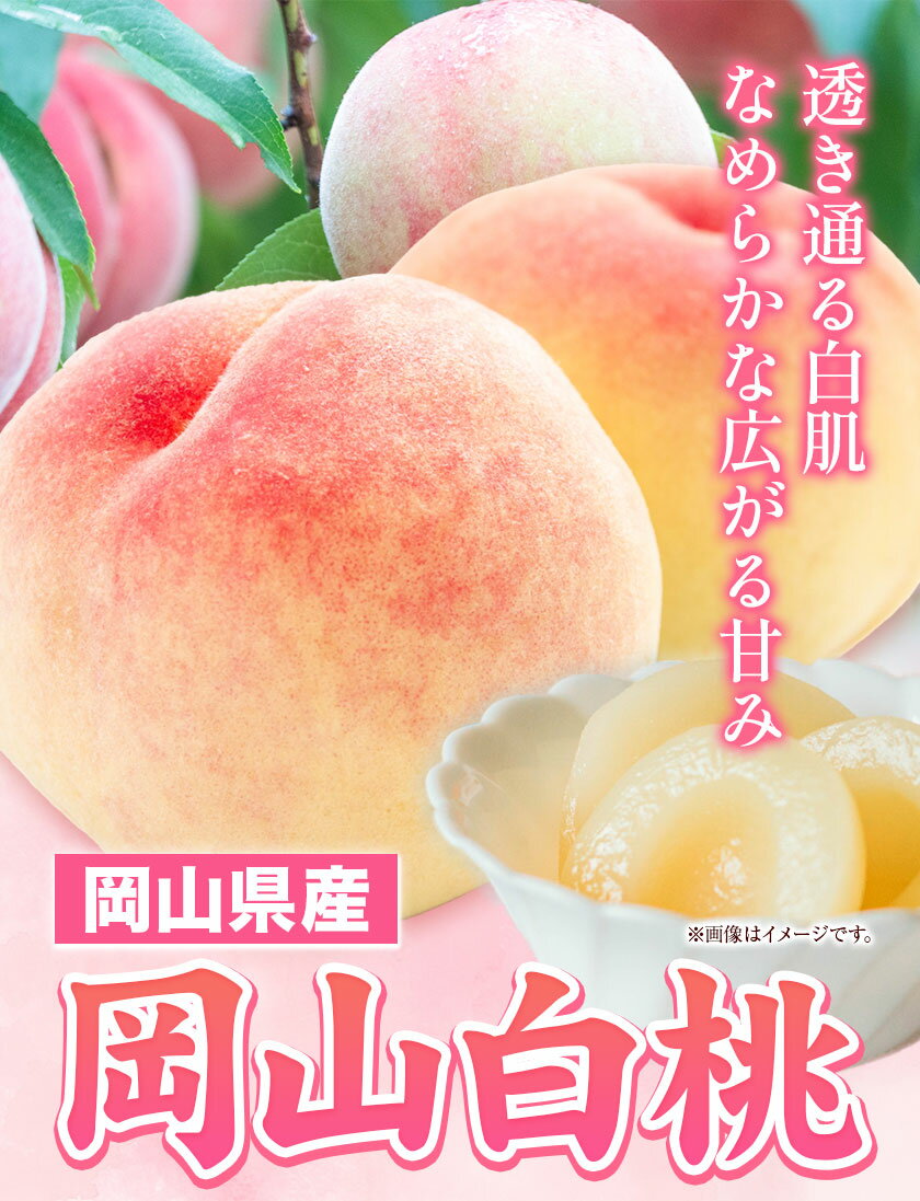 【ふるさと納税】【先行予約】岡山県産 岡山白桃 選べる 6玉 (240g以上) 7玉 (260g以上) 8玉 (220g以上) 【配送不可地域あり】 《7月上旬-8月下旬頃に出荷予定(土日祝除く)》 岡山県 矢掛町 桃 もも 白桃 果物