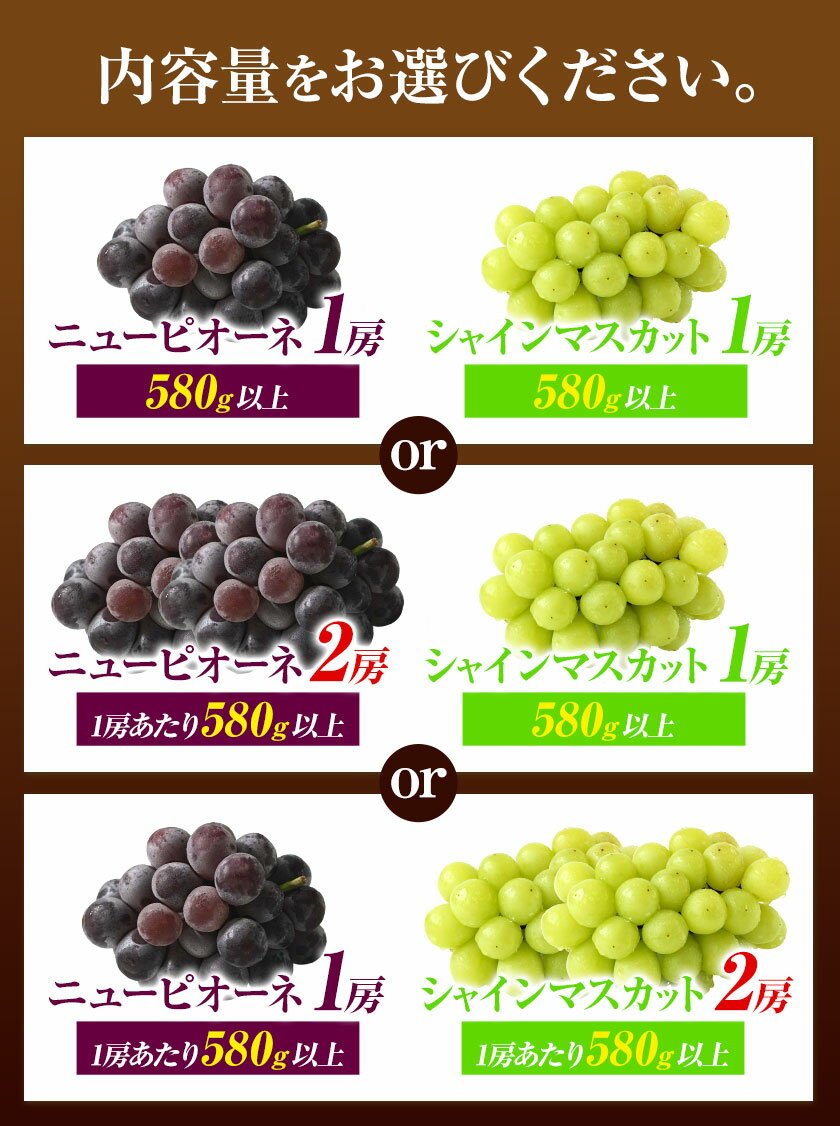 りんご角切り ホリカフーズ 介護食品 やわらか食品 噛む力・飲み込む力が弱くなってきた方 高齢者 お年寄り ギフト対応