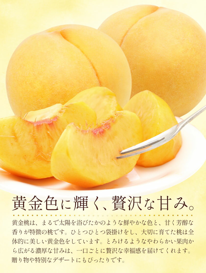 岡山県矢掛町の画像3