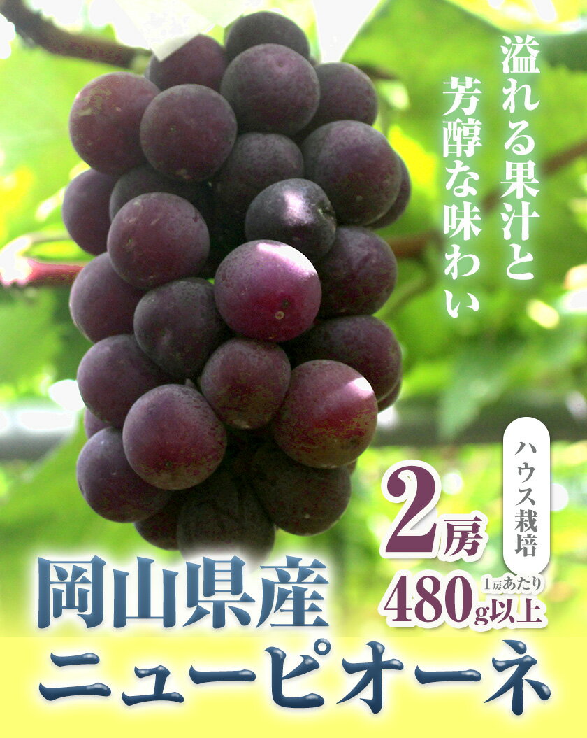 【ふるさと納税】【先行予約】 岡山県産 ニューピオーネ 2房 480g以上 ハウス栽培 葡萄 果物 厳選出荷 スイーツ フルーツ デザート 岡山県矢掛町《7月上旬-8月下旬に出荷予定(土日祝除く)》 種なしぶどう 【配送不可地域あり】