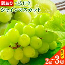 【ふるさと納税】【先行予約】 岡山県産 訳あり 選べる! つる付き シャインマスカット 2房 (530g以上) 3房 (530g以上) 【配送不可地域あり】 《...