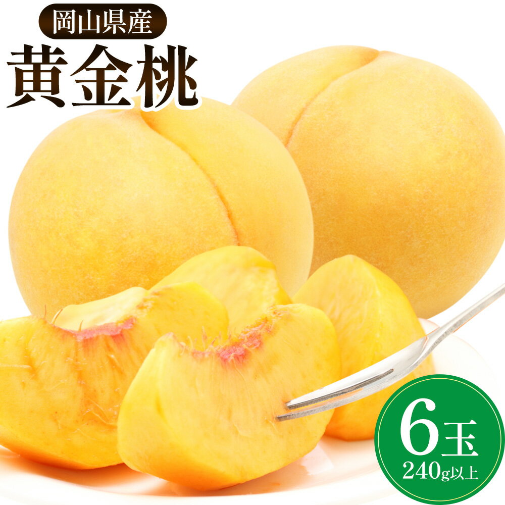 岡山県産 黄金桃 6玉(240g以上)[9月上旬-9月下旬頃に出荷予定] 岡山 白桃 岡山県 矢掛町 黄桃 桃 モモ 果物 スイーツ フルーツ デザート