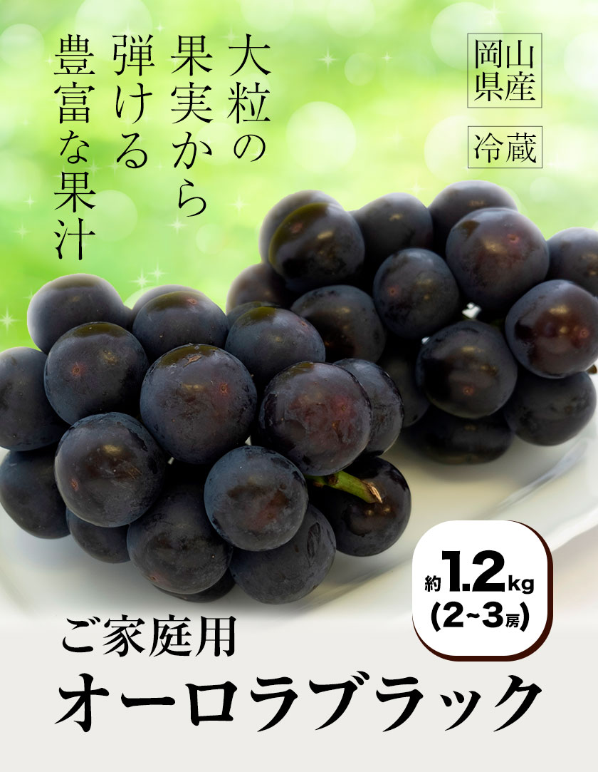 【ふるさと納税】【2026年発送先行予約】ご家庭用 岡山県産 オーロラブラック 1.2kg 2-3房 晴れの国おかやま館 《2026年9月上旬-9月下旬頃出荷》岡山県 矢掛町 葡萄 ぶどう 果物 スイーツ フルーツ デザート【配送不可地域あり】（離島）