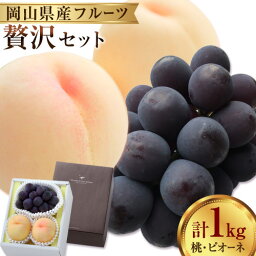 【ふるさと納税】 桃・ピオーネ詰め合わせ 約1kg クール便 冷蔵便 桃 もも 葡萄 ブドウ ぶどう ピオーネ フルーツ セット 晴れの国おかやま館 《8月下旬-9月中旬頃出荷》 フルーツ 果物 果実 岡山県 矢掛町