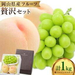 【ふるさと納税】 桃・シャインマスカット詰め合わせ 約1kg クール便 冷蔵便 桃 もも 葡萄 ブドウ ぶどうシャインマスカット マスカット フルーツ セット 先行予約 晴れの国おかやま館 《8月下旬-9月中旬頃出荷》 フルーツ 果物 果実 岡山県 矢掛町