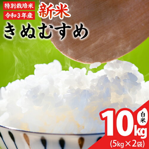 【ふるさと納税】令和3年産 新米 きぬむすめ10kg 5kg×2袋 岡山県産 白米 精米 単一原料米 特別栽培米 矢掛町《30日以内に順次出荷(土日祝除く)》