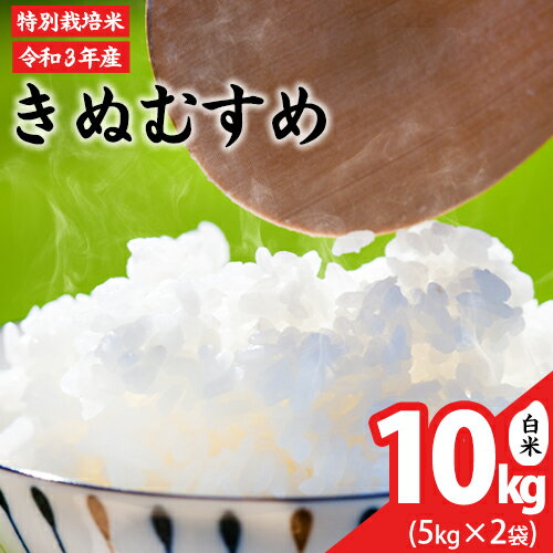 【ふるさと納税】令和3年産 きぬむすめ10kg 5kg×2袋 岡山県産 白米 精米 単一原料米 特別栽培米 矢掛町《30日以内に順次出荷(土日祝除く)》JA晴れの日 矢掛アグリセンター