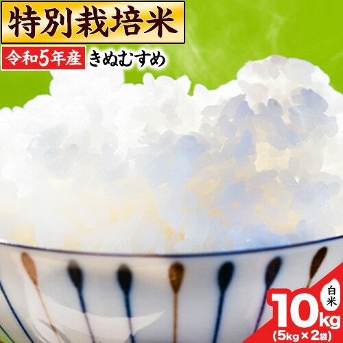 令和5年産 特別栽培米 きぬむすめ10kg 5kg×2袋 岡山県産 白米 精米 単一原料米 矢掛町[30日以内に出荷予定(土日祝除く)]JA晴れの国 矢掛アグリセンター 送料無料