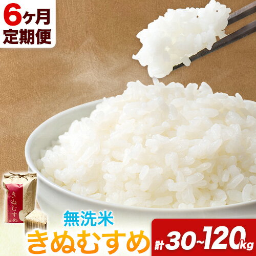 1位! 口コミ数「0件」評価「0」【6ヶ月定期便】 令和5年産 米 岡山県産 きぬむすめ 無洗米 選べる 5kg 10kg 15kg 20kg ありがとう園《お申込み月の翌月･･･ 