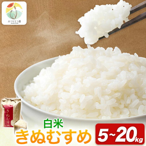 令和5年産 米 岡山県産 きぬむすめ 白米 選べる 5kg 10kg 15kg 20kg ありがとう園[30日以内に出荷予定(土日祝除く)]岡山県 矢掛町 米 コメ 一等米