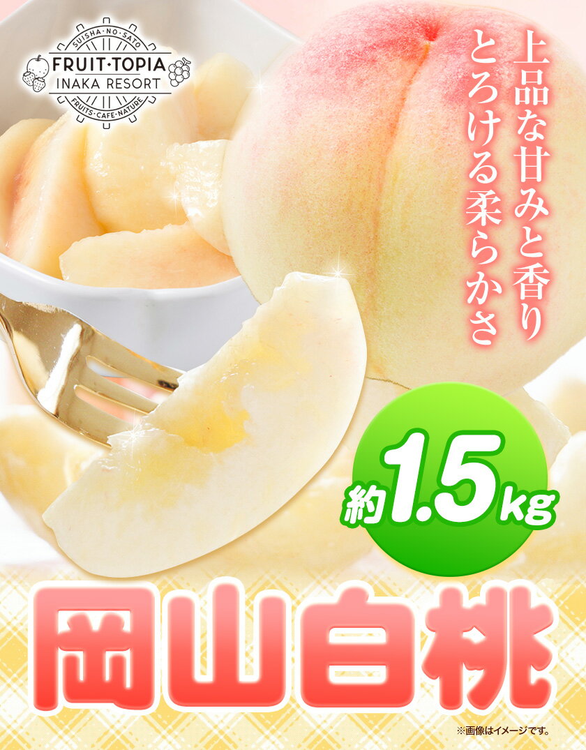 【ふるさと納税】岡山白桃 約1.5kg 水車の里フルーツトピア《7月中旬から8月下旬頃に出荷予定》 岡山白桃 岡山県 矢掛町 桃 モモ 果物 スイーツ フルーツ デザート 白桃