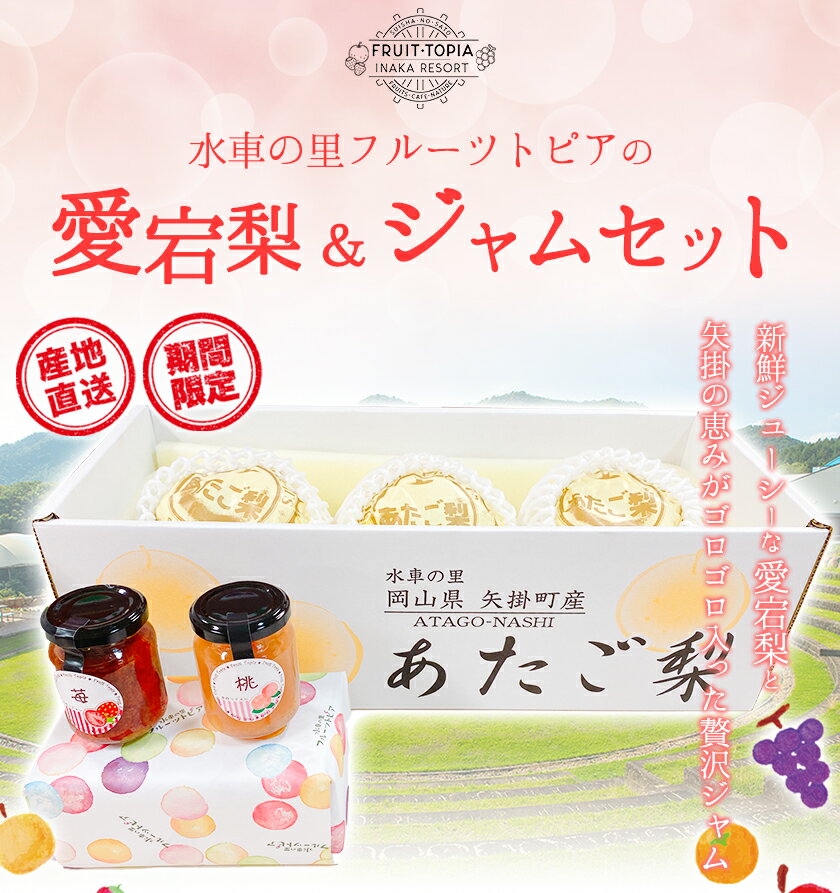 【ふるさと納税】 【先行予約】 愛宕梨 ＆ フルーツ ジャム セット《12月上旬‐2月上旬頃出荷》水車の里フルーツトピア 岡山県矢掛町産 梨 ジャム 果物 フルーツ