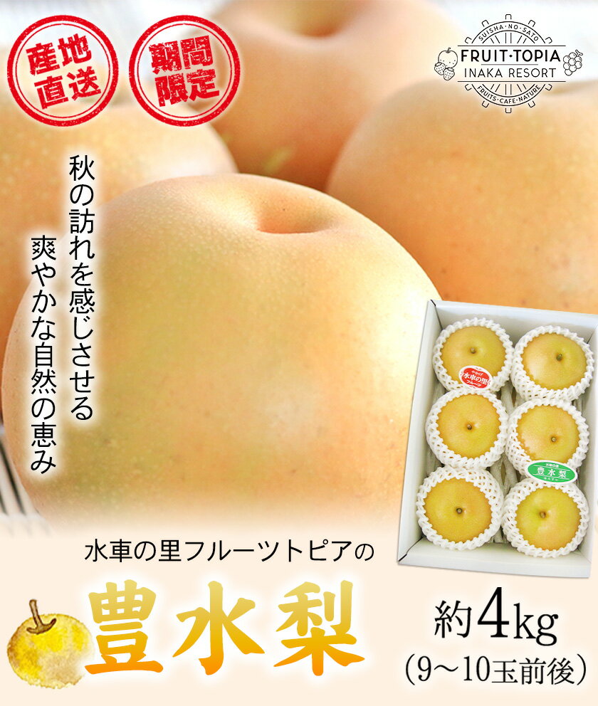 【ふるさと納税】 【先行予約】 産地直送 豊水梨 約4kg (9~10玉前後) 水車の里フルーツトピア 期間限定 岡山県矢掛町産 なし 果物 スイーツ フルーツ デザート《9月上旬-10月上旬頃出荷》