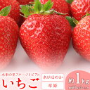 【ふるさと納税】 やかげの いちご ギフト セット(さがほのか・章姫) 約1kg(約500g×2P)《1月中旬-2月末頃出荷》水車の里フルーツトピア岡山県矢掛町産 苺 果物 フルーツ