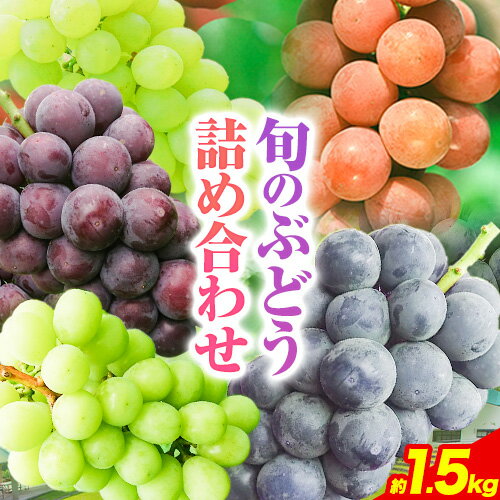 25位! 口コミ数「0件」評価「0」 【先行予約】 産地直送 旬のぶどう詰め合わせセット 約1.5kg 水車の里フルーツトピア 期間限定 岡山県 矢掛町 葡萄 果物 スイーツ ･･･ 