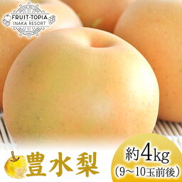 【ふるさと納税】 【先行予約】 産地直送 豊水梨 約4kg (9~10玉前後) 水車の里フルーツトピア 期間限定 岡山県矢掛町産 なし 果物 スイーツ フルーツ デザート《9月中旬-10月中旬頃出荷》