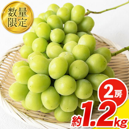 【令和6年度先行予約】秀品 シャインマスカット 岡山 秋旬 数量限定 大粒 約1.2kg 2房 産地直送 葡萄 果物 秀品 スイーツ フルーツ デザート 岡山県 矢掛町 簡易包装 《2024年9月中旬～11月上旬頃に出荷予定(土日祝除く)》