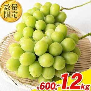 【ふるさと納税】秀品 シャインマスカット 岡山 秋旬 数量限定 大粒 約1.2kg or 600g 2房 1房 産地直送 葡萄 果物 秀品 スイーツ フルーツ デザート 岡山県 矢掛町 簡易包装 《9月中旬〜11月上旬頃に出荷予定(土日祝除く)》