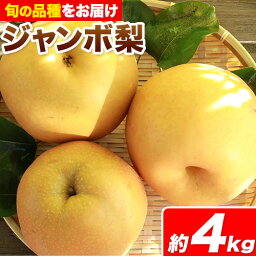 【ふるさと納税】 【先行予約】岡山県産 旬の ジャンボ梨 約4kg 3～8玉前後 ジャンボ 梨 秀品 新高 愛宕 スイーツ フルーツ デザート 旬 岡山県矢掛町《2024年9月下旬-12月末頃に出荷予定》