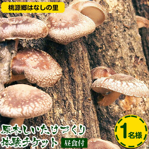 【ふるさと納税】原木しいたけづくり体験チケット(昼食付) 1名様 桃源郷はなしの里 岡山県矢掛町《30日以内に出荷予定(土日祝除く)》