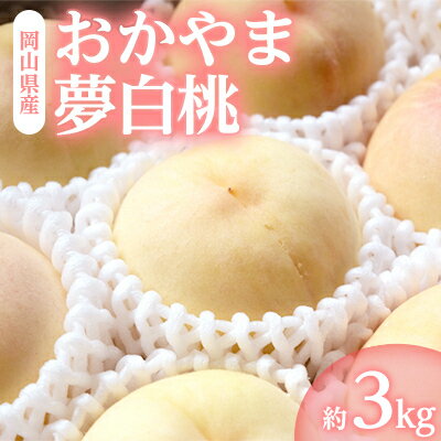 【ふるさと納税】岡山県産「おかやま夢白桃」約3kg|7月下旬頃〜順次発送【配送不可地域:離島】【1488993】