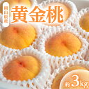 【ふるさと納税】岡山県産「黄金桃」約3kg|8月下旬頃〜発送予定【配送不可地域:離島】【1488995】