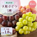 【ふるさと納税】1064.【先行予約】訳あり大粒ぶどう3種セット(10月初旬〜12月下旬発送予定)【1489000】