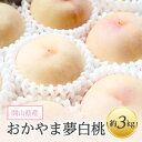 【ふるさと納税】岡山県産「おかやま夢白桃」約3kg|2025年7月下旬以降発送予定【1489035】
