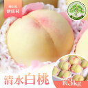 【ふるさと納税】岡山県産 清水白桃【約3kg】2025年7月下旬頃より発送予定【1516861】