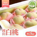 【ふるさと納税】岡山県産 岡山白桃(川中島白桃)【約3kg】2025年7月末頃から発送予定【1516863】