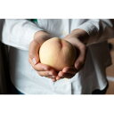 【ふるさと納税】岡山県産「おかやま夢白桃」約2kg|2025年7月下旬以降順次発送予定【1516922】