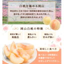岡山県新庄村の画像2