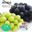 【ふるさと納税】岡山県産 旬のぶどう詰合せ 2種2パックセット【配送不可地域:離島】【1575477】