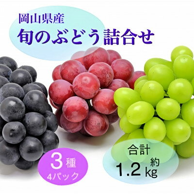 【ふるさと納税】岡山県産 旬のぶどう詰合せ 3種4パックセット【配送不可地域:離島】【1575479】