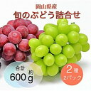 【ふるさと納税】岡山県産 旬のぶどう詰合せ 2種2パックセット【配送不可地域:離島】【1575480】