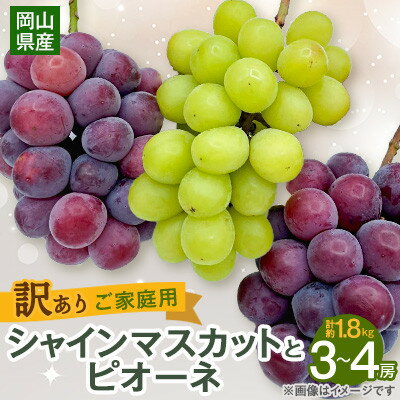 【ふるさと納税】【2025年10月より発送】訳ありシャインマスカットとピオーネ詰合せ 3~4房 1.8kg ご家庭用【1608538】