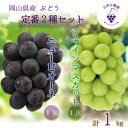 【ふるさと納税】岡山 花笑み農園の『ニューピオーネ&シャインマスカット』1kg(2房)PS-1【9月中旬~順次発送】【配送不可地域:離島】【1650714】