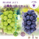【ふるさと納税】岡山 花笑み農園『シャインマスカット&BKシードレス』1kg(2房)BS-1 【9月下旬〜順次発送】【配送不可地域:離島】【1650731】