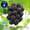 【ふるさと納税】岡山 花笑み農園の『ニューピオーネ』家庭用 約2kg(3~5房) P-2家【9月上旬~順次発送】【配送不可地域:離島】【1650750】