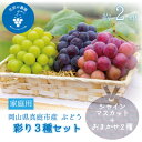 【ふるさと納税】岡山 花笑み農園『彩り3種セット』(シャイン、クイーンニーナ、ピオーネ)(3房)家庭用 3M-2家【配送不可地域:離島】【1650759】